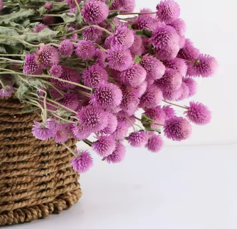Natural Dried Preserved Flowers Bouquet Gomphrena